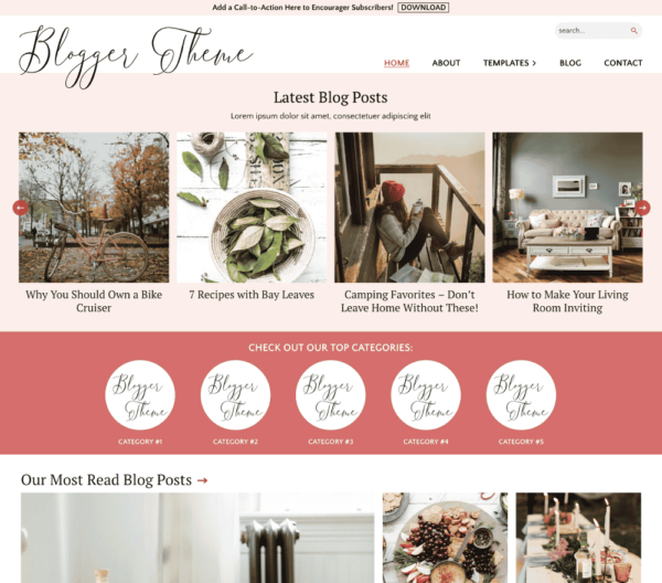 Blogger Theme