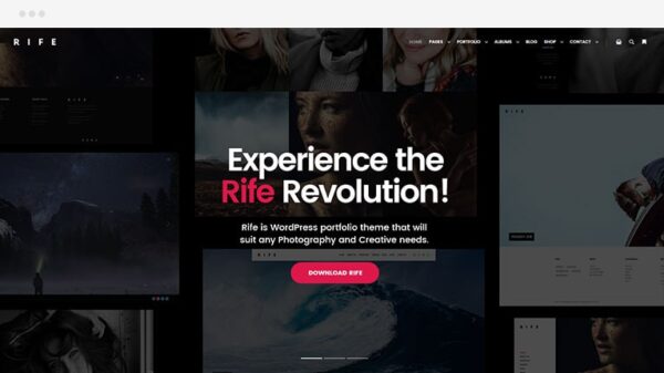 Rife WP Theme pro