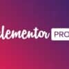 Elementor Pro Website Builder 3.28.4