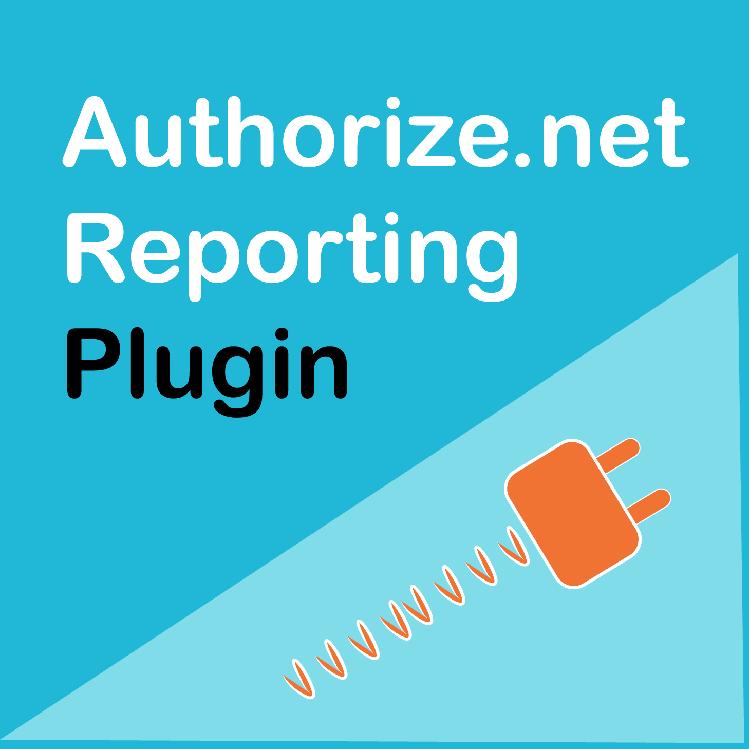 Authorize.Net Reporting