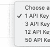 WooCommerce API Manager