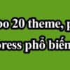 Combo 20 theme, plugin wordpress phổ biến được sử dụng nhiều nhất hiện nay