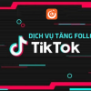 Dịch vụ tăng Follow Tiktok giá rẻ