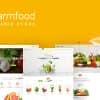 Naturix – Organic Fruit Vegetables Store HTML Template with RTL