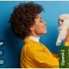 Chinchilla – Pet WordPress Theme