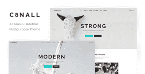Conall – Clean Multipurpose Theme