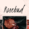Rosebud – Flower Shop and Florist WordPress Theme