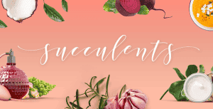 Succulents – Healthy Lifestyle and Wellness Theme