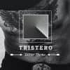 Tristero – Tattoo WordPress Theme