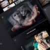 Ashade – Photography HTML Template