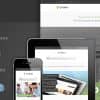 Cygnus – Minimalist Business Template 8