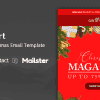 Gift Kart – Christmas Email Template + Online Access