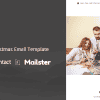 Raise Mail – Responsive E-mail Template + Online Access + Mailster + MailChimp