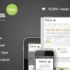 Modernize – Flexibility of WordPress