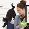 OnLeash | Dog Walking & Pet Services Veterinary WordPress Theme
