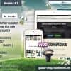 Quasar – WordPress Theme with Animation Builder