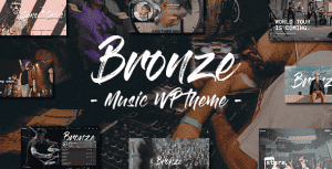 Bronze – A Professional Music WordPress Theme