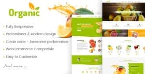 AmyOrganic – Organic and Healthy Theme for WordPress