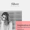 Silver Tumblr Theme