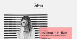 Silver Tumblr Theme