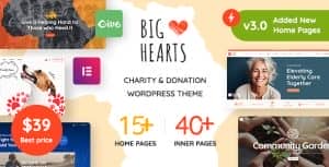 BigHearts – Charity & Donation WordPress Theme