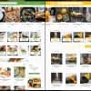 Boodo WP – Food and Magazine Shop WordPress Theme