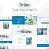Dribo — Cleaning company Sketch Template
