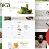 Organica – Organic, Beauty, Natural Cosmetics, Food, Farn and Eco WordPress Theme