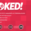 Stoked! – Irreverent Viral Magazine and Personal Blog WordPress Theme