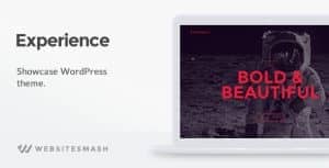 Experience – Showcase WordPress Theme