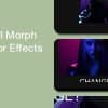 On-Scroll Morph Effects for Elementor