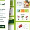 Groxi – Grocery Store Elementor Template Kit