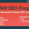 WP SEO Propeller – Advanced SEO Analysis Tool