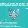 Bindlex Social Traffic