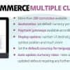 WooCommerce Multiple Currencies
