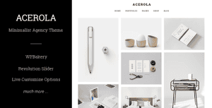 Acerola – Ultra Minimalist Agency Theme