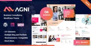 Agni – Consulting Business