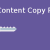 WP Content Copy Protection pro