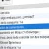 Loco Translate pro