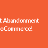 WooCommerce Cart Abandonment Recovery pro