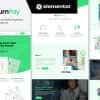 GumPay – Money Transfer & Online Payments Elementor Template Kit