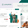 Law & Order – Law Firm & Lawyers Elementor Pro Template Kit