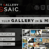 Fast Gallery Mosaic – WordPress Plugin