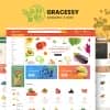 Gracessy | Grocery Store Shopify Theme