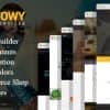 Towy – Emergency Auto Towing and Roadside Assistance Service WordPress theme