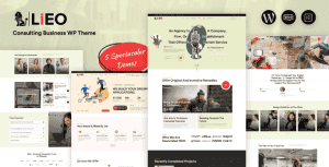 LIEO – Consulting WordPress