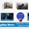 Image Caption Hover Pro WordPress Plugin