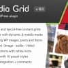Media Grid – WordPress Responsive Portfolio