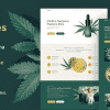 Calmes – Medical Marijuana & Coffeeshop WordPress Theme