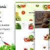 Greenorganic – WooCommerce WordPress Theme